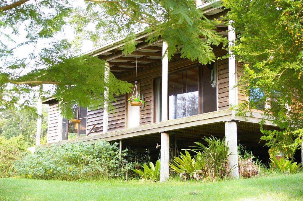 Bellthorpe Stays Maleny Ruang foto