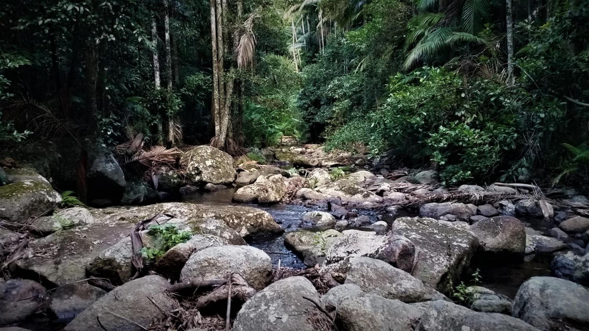 Bellthorpe Stays Maleny Bagian luar foto
