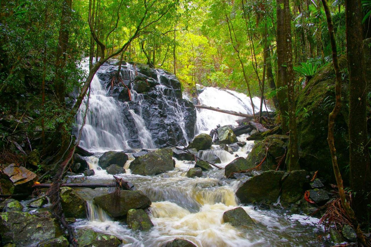 Bellthorpe Stays Maleny Bagian luar foto