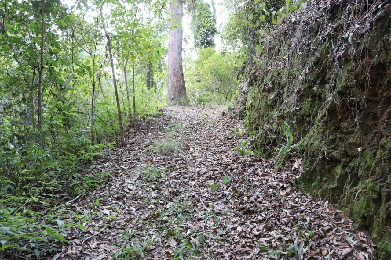 Bellthorpe Stays Maleny Bagian luar foto