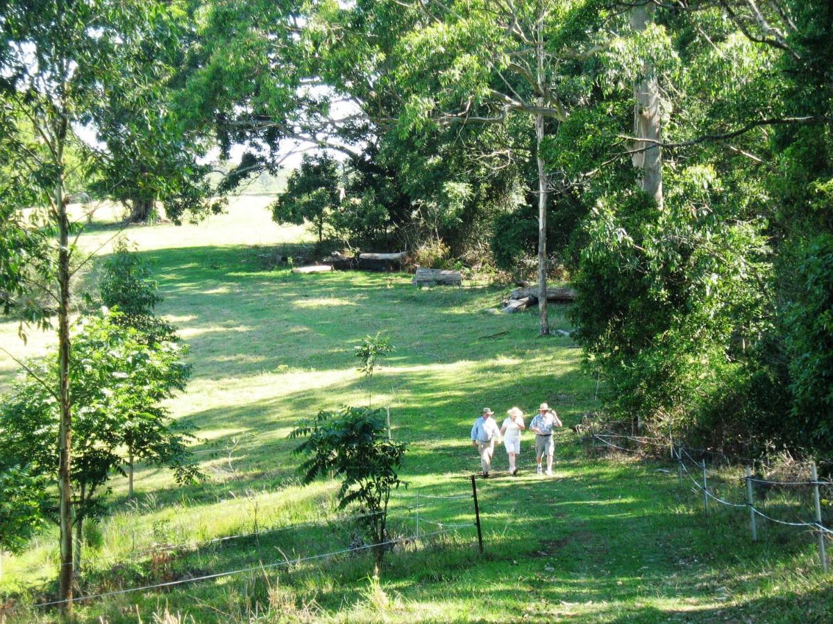 Bellthorpe Stays Maleny Bagian luar foto