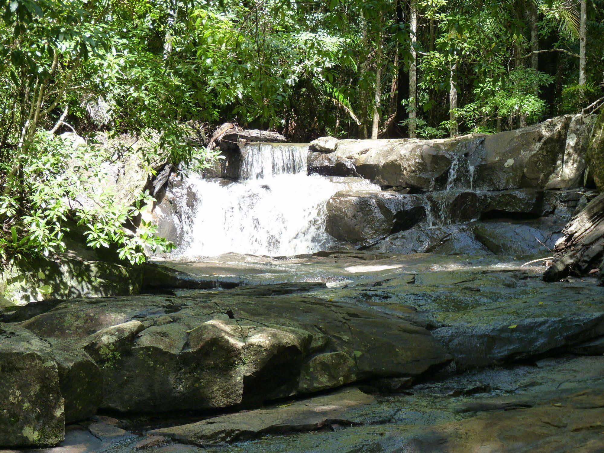 Bellthorpe Stays Maleny Bagian luar foto