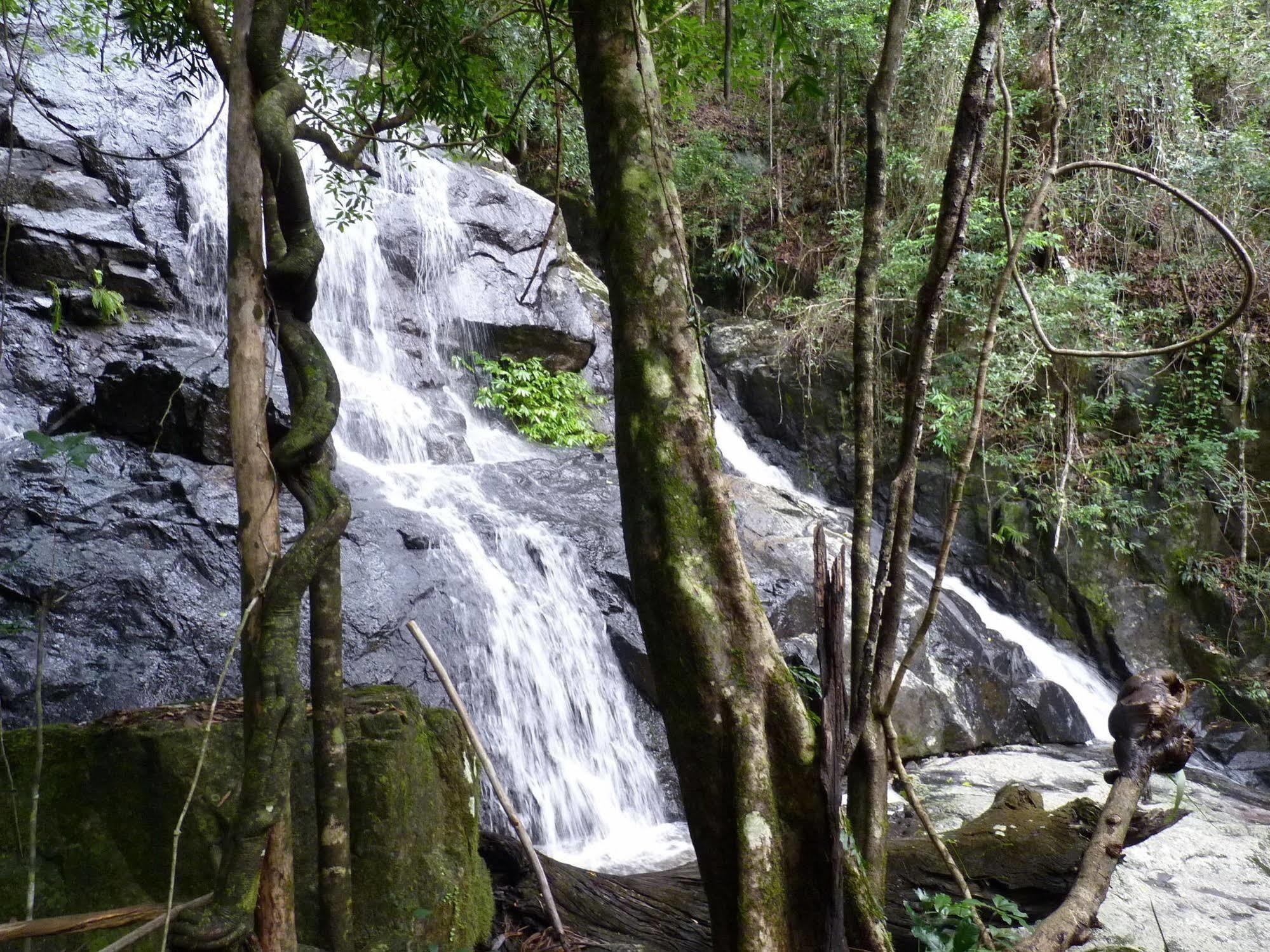 Bellthorpe Stays Maleny Bagian luar foto