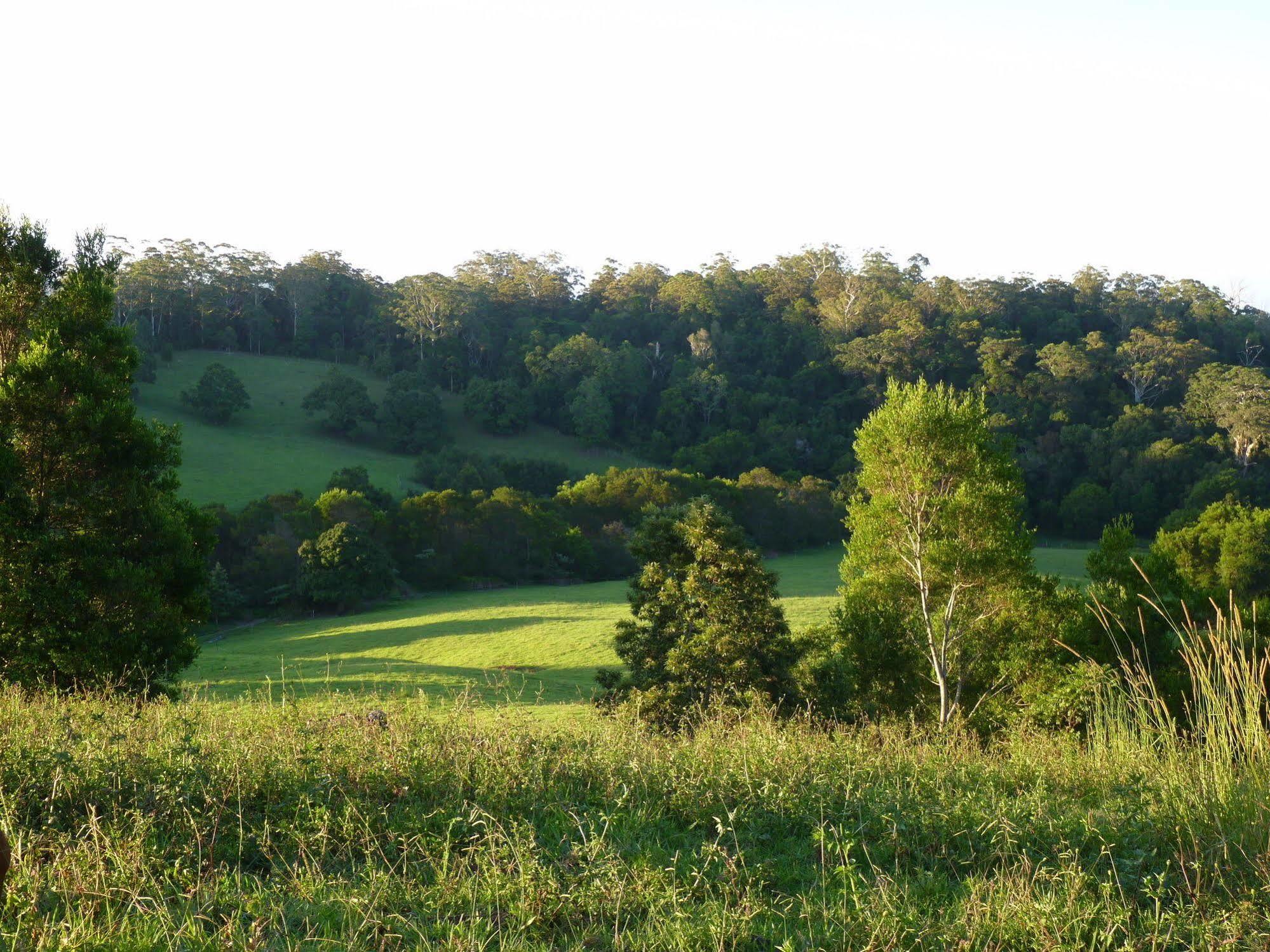 Bellthorpe Stays Maleny Bagian luar foto