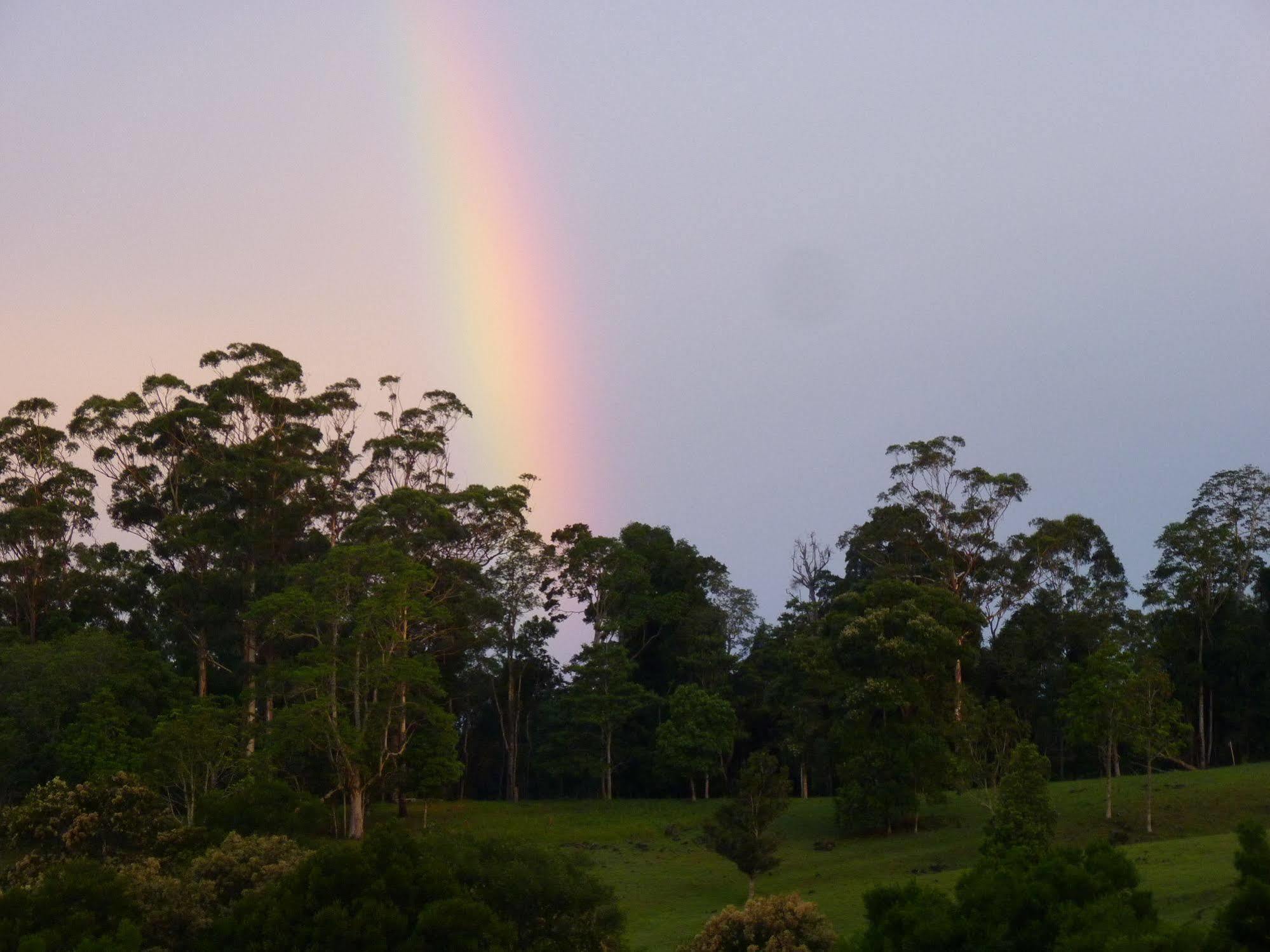 Bellthorpe Stays Maleny Bagian luar foto
