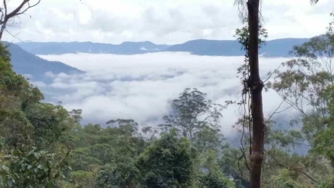 Bellthorpe Stays Maleny Bagian luar foto